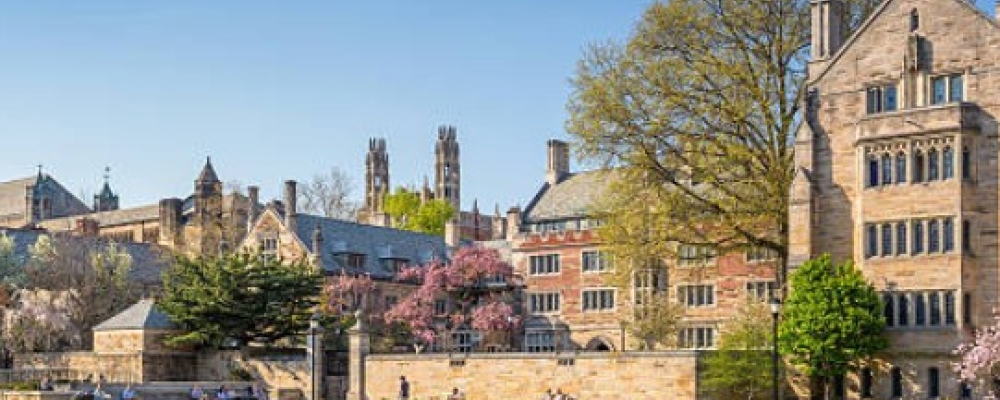 SStep-By-Step Blueprint To Selling Your School