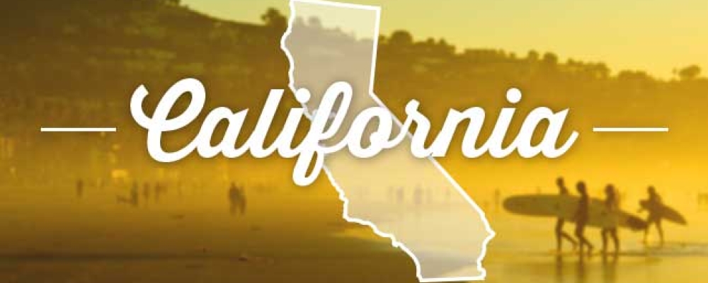 Private English language school for sale